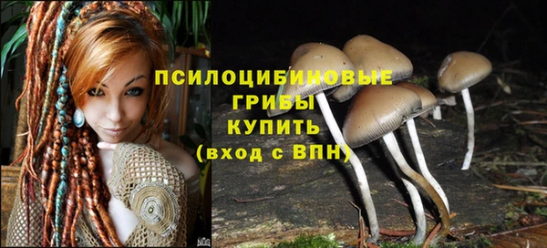 ешки Армянск