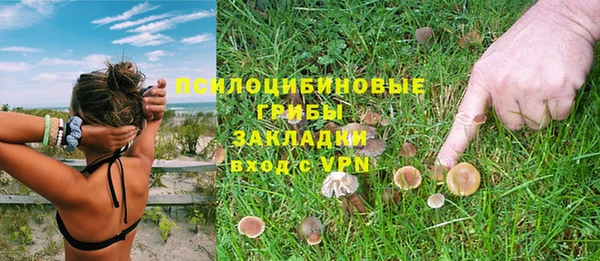 ешки Армянск