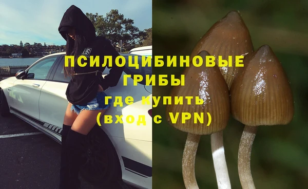 прущие крисы Аркадак