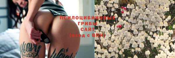 прущие крисы Аркадак