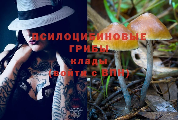 ешки Армянск
