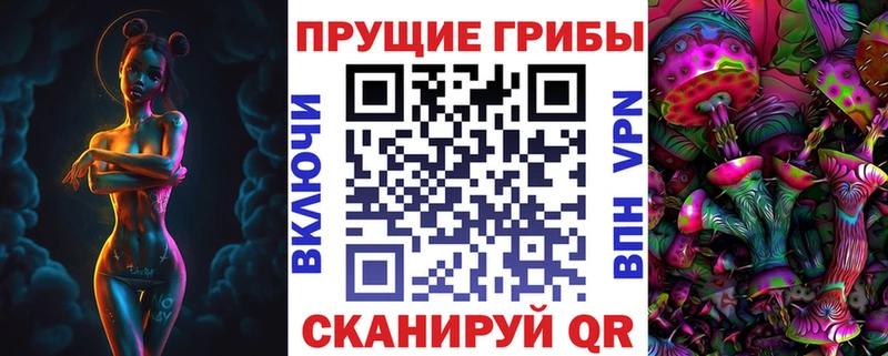 Купить закладки  Верхняя Тура  Псилоцибиновые грибы GOLDEN TEACHER 